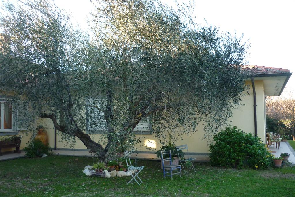 B&B Alle Terme Viterbo Exteriér fotografie